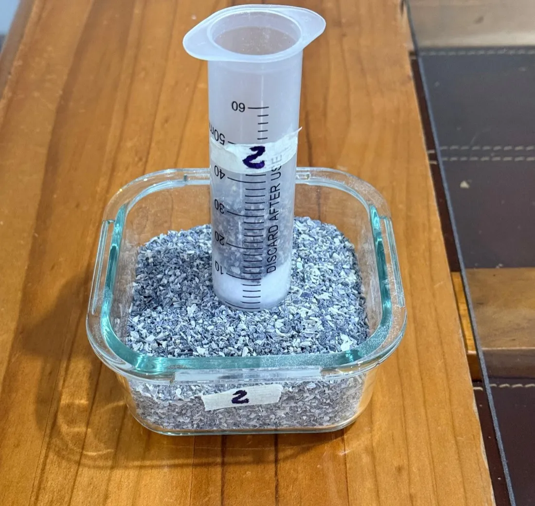 Recipiente con concha en grano grueso y probeta